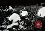 Standbild Kampf für Palembang Ölraffinerien Palembang Indonesien, 1942, aus Sekunde 54 historischem Filmmaterial Videoclip 65675025093