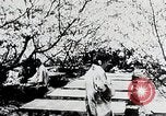 Immagine di Tre zone di foreste in Giappone Giappone, 1938, secondo 7 filmato di repertorio 65675025095