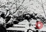 Immagine di Tre zone di foreste in Giappone Giappone, 1938, secondo 9 filmato di repertorio 65675025095