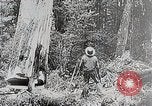 Immagine di Tre zone di foreste in Giappone Giappone, 1938, secondo 12 filmato di repertorio 65675025095