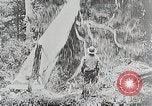 Immagine di Tre zone di foreste in Giappone Giappone, 1938, secondo 13 filmato di repertorio 65675025095