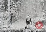 Immagine di Tre zone di foreste in Giappone Giappone, 1938, secondo 14 filmato di repertorio 65675025095