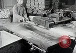 Immagine di Tre zone di foreste in Giappone Giappone, 1938, secondo 24 filmato di repertorio 65675025095