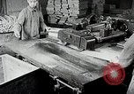 Immagine di Tre zone di foreste in Giappone Giappone, 1938, secondo 27 filmato di repertorio 65675025095
