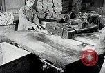 Immagine di Tre zone di foreste in Giappone Giappone, 1938, secondo 28 filmato di repertorio 65675025095