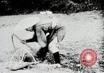 Immagine di La produzione di cibo in Giappone Giappone, 1938, secondo 10 filmato di repertorio 65675025096