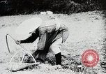 Immagine di La produzione di cibo in Giappone Giappone, 1938, secondo 11 filmato di repertorio 65675025096