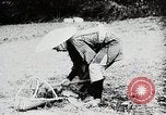 Immagine di La produzione di cibo in Giappone Giappone, 1938, secondo 12 filmato di repertorio 65675025096