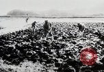 Immagine di La produzione di cibo in Giappone Giappone, 1938, secondo 15 filmato di repertorio 65675025096