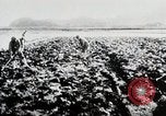 Immagine di La produzione di cibo in Giappone Giappone, 1938, secondo 17 filmato di repertorio 65675025096