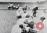 Immagine di La produzione di cibo in Giappone Giappone, 1938, secondo 23 filmato di repertorio 65675025096