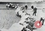 Immagine di La produzione di cibo in Giappone Giappone, 1938, secondo 25 filmato di repertorio 65675025096