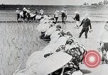 Immagine di La produzione di cibo in Giappone Giappone, 1938, secondo 26 filmato di repertorio 65675025096