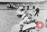 Immagine di La produzione di cibo in Giappone Giappone, 1938, secondo 27 filmato di repertorio 65675025096