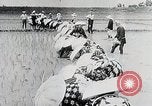 Immagine di La produzione di cibo in Giappone Giappone, 1938, secondo 28 filmato di repertorio 65675025096