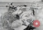 Immagine di La produzione di cibo in Giappone Giappone, 1938, secondo 29 filmato di repertorio 65675025096