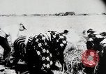 Immagine di La produzione di cibo in Giappone Giappone, 1938, secondo 30 filmato di repertorio 65675025096