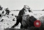 Immagine di La produzione di cibo in Giappone Giappone, 1938, secondo 36 filmato di repertorio 65675025096