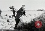 Immagine di La produzione di cibo in Giappone Giappone, 1938, secondo 37 filmato di repertorio 65675025096