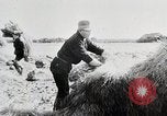 Immagine di La produzione di cibo in Giappone Giappone, 1938, secondo 38 filmato di repertorio 65675025096