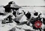 Immagine di La produzione di cibo in Giappone Giappone, 1938, secondo 45 filmato di repertorio 65675025096