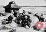 Immagine di La produzione di cibo in Giappone Giappone, 1938, secondo 46 filmato di repertorio 65675025096