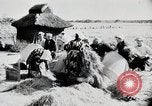 Immagine di La produzione di cibo in Giappone Giappone, 1938, secondo 47 filmato di repertorio 65675025096