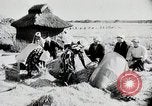 Immagine di La produzione di cibo in Giappone Giappone, 1938, secondo 48 filmato di repertorio 65675025096