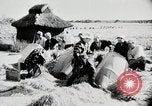 Immagine di La produzione di cibo in Giappone Giappone, 1938, secondo 49 filmato di repertorio 65675025096