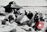 Immagine di La produzione di cibo in Giappone Giappone, 1938, secondo 50 filmato di repertorio 65675025096