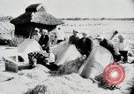 Immagine di La produzione di cibo in Giappone Giappone, 1938, secondo 51 filmato di repertorio 65675025096