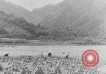 Immagine di La produzione di cibo in Giappone Giappone, 1938, secondo 58 filmato di repertorio 65675025096