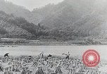 Immagine di La produzione di cibo in Giappone Giappone, 1938, secondo 59 filmato di repertorio 65675025096