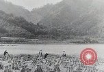 Immagine di La produzione di cibo in Giappone Giappone, 1938, secondo 60 filmato di repertorio 65675025096