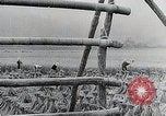 Immagine di La produzione di cibo in Giappone Giappone, 1938, secondo 61 filmato di repertorio 65675025096