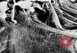 Image of Prewar commercial fishing activities in Japan Japan, 1938, second 33 stock footage video 65675025097