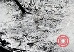 Image of Prewar commercial fishing activities in Japan Japan, 1938, second 42 stock footage video 65675025097