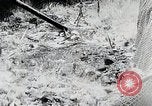 Image of Prewar commercial fishing activities in Japan Japan, 1938, second 44 stock footage video 65675025097