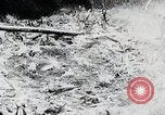 Image of Prewar commercial fishing activities in Japan Japan, 1938, second 45 stock footage video 65675025097
