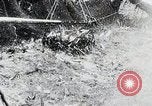 Image of Prewar commercial fishing activities in Japan Japan, 1938, second 49 stock footage video 65675025097