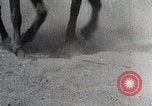 Image of Canton China Battle Canton China, 1938, second 34 stock footage video 65675025102