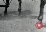 Image of Canton China Battle Canton China, 1938, second 37 stock footage video 65675025102