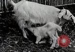 Immagine di Famiglia rurale in Giappone Giappone, 1934, secondo 53 filmato di repertorio 65675025107