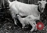 Immagine di Famiglia rurale in Giappone Giappone, 1934, secondo 54 filmato di repertorio 65675025107