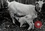 Immagine di Famiglia rurale in Giappone Giappone, 1934, secondo 55 filmato di repertorio 65675025107