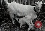 Immagine di Famiglia rurale in Giappone Giappone, 1934, secondo 56 filmato di repertorio 65675025107