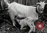 Immagine di Famiglia rurale in Giappone Giappone, 1934, secondo 57 filmato di repertorio 65675025107