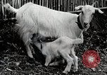 Immagine di Famiglia rurale in Giappone Giappone, 1934, secondo 59 filmato di repertorio 65675025107