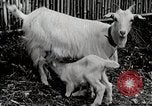 Immagine di Famiglia rurale in Giappone Giappone, 1934, secondo 61 filmato di repertorio 65675025107
