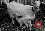 Immagine di Famiglia rurale in Giappone Giappone, 1934, secondo 62 filmato di repertorio 65675025107
